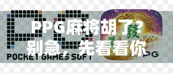 PPG麻将胡了？别急，先看看你是不是伪高手！