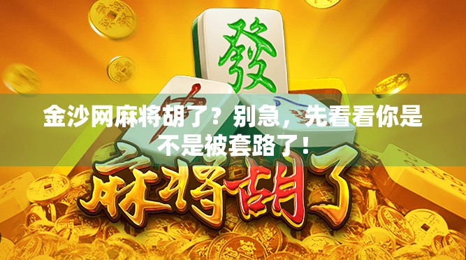 金沙网麻将胡了？别急，先看看你是不是被套路了！