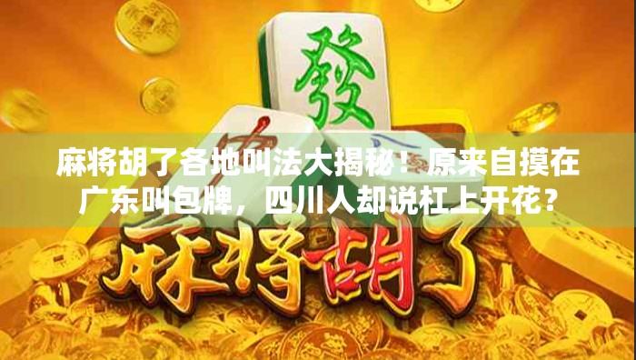 麻将胡了各地叫法大揭秘！原来自摸在广东叫包牌，四川人却说杠上开花？